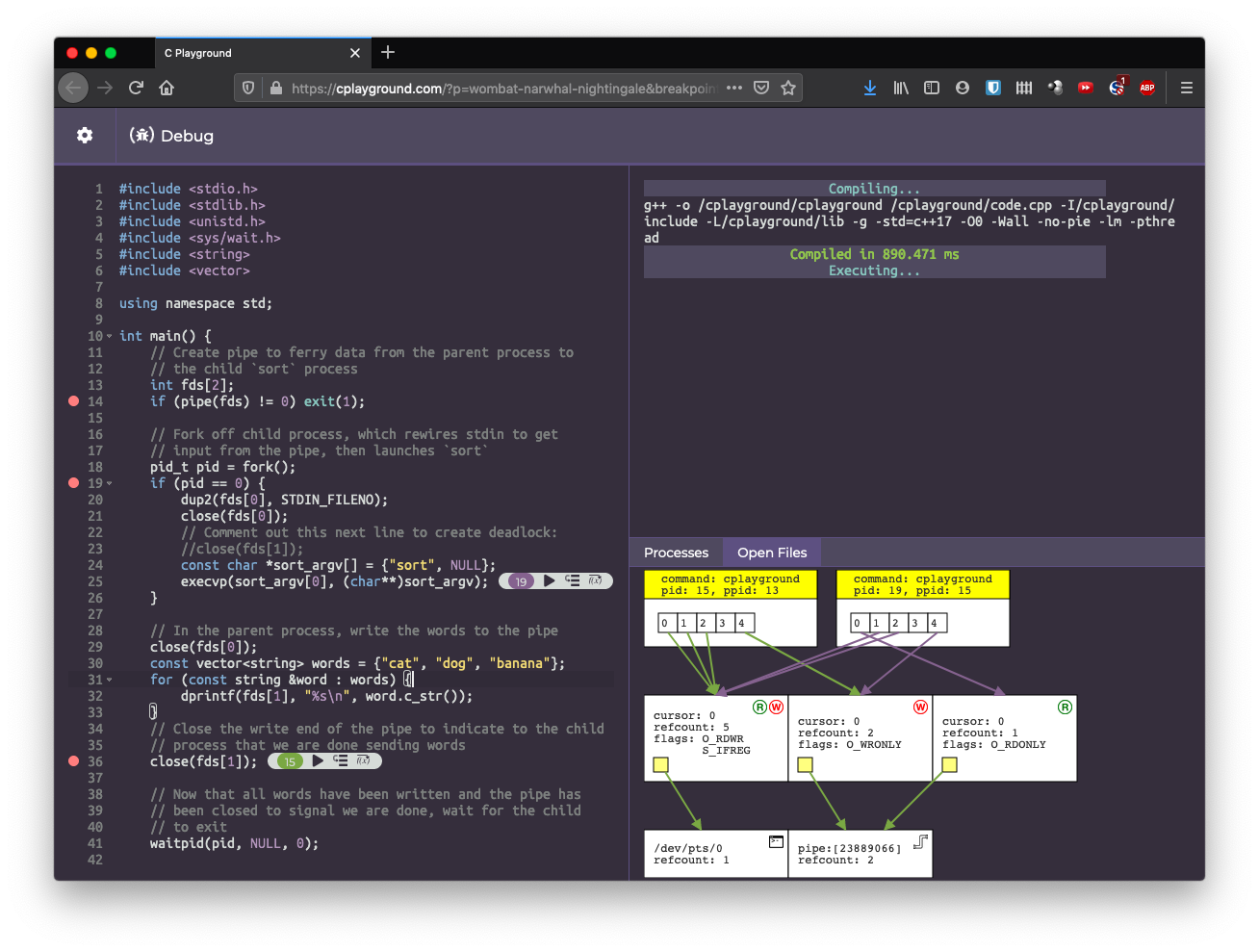 Microsoft kernel debug